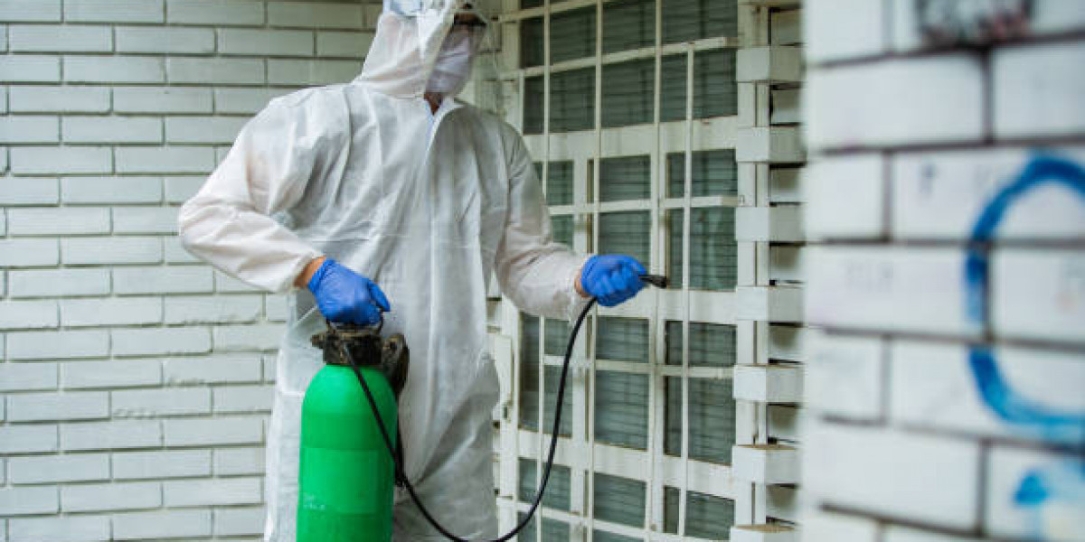 How do I find the best pest control service in Dhaka?