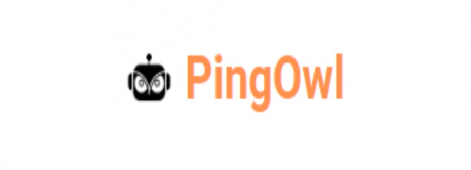 Pingowl Cover Image