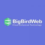 Bigbird Web Profile Picture