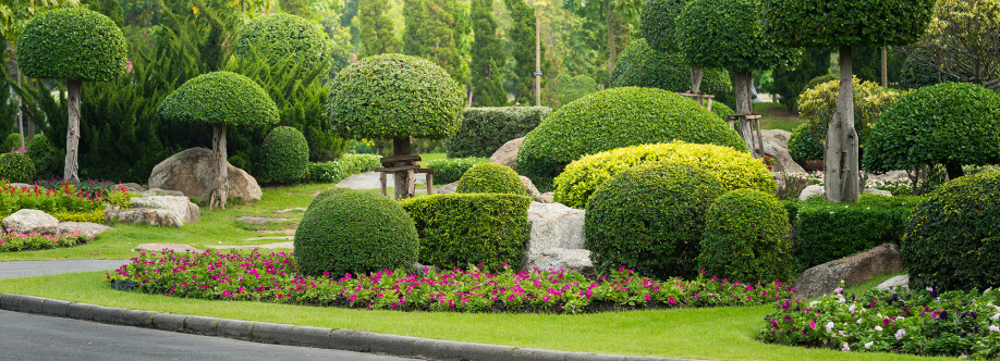 Mauros Landscaping Cover Image
