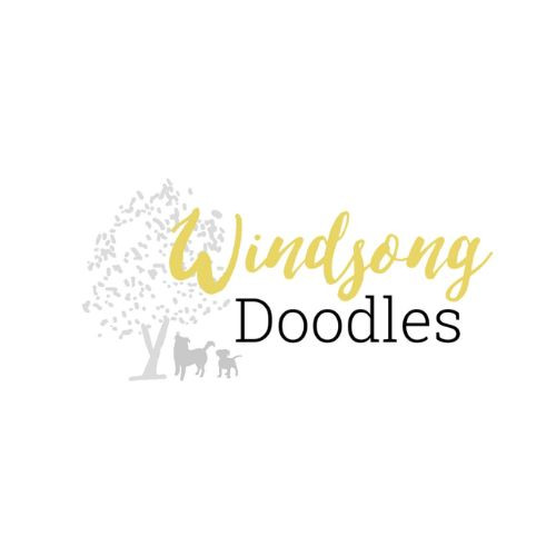 Windsong Doodles LLC Profile Picture
