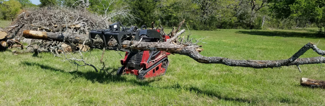 Top Point Tree Cover Image