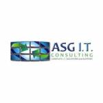 ASG IT Consulting profile picture