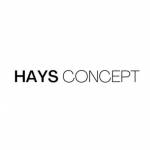 Haysconcept Profile Picture