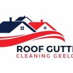 Roof Gutter Cleaning Geelong Profile Picture