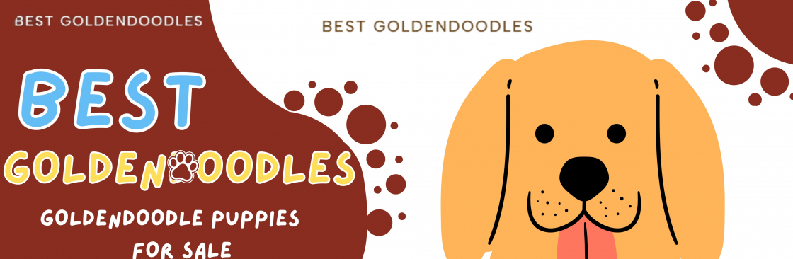 Best Goldendoodles Cover Image