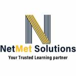 Netmet solution Profile Picture