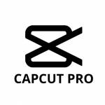 CapCut APK Download Profile Picture