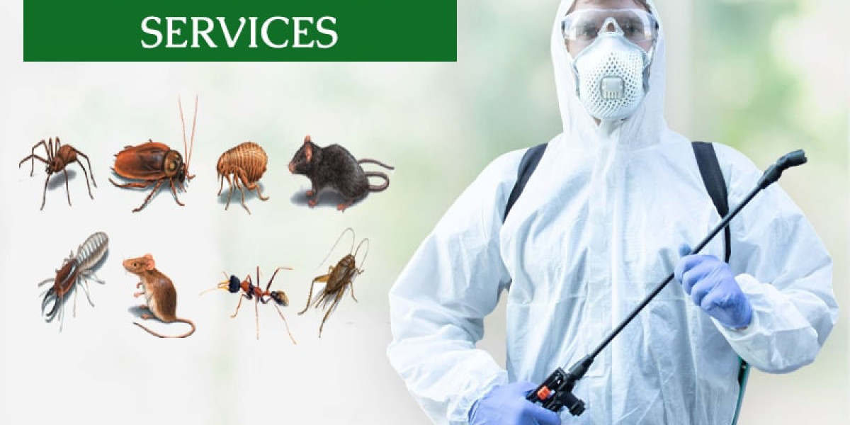 Cost-Effective Pest Management Options in Houston – Request Your Complimentary Estimate Today!