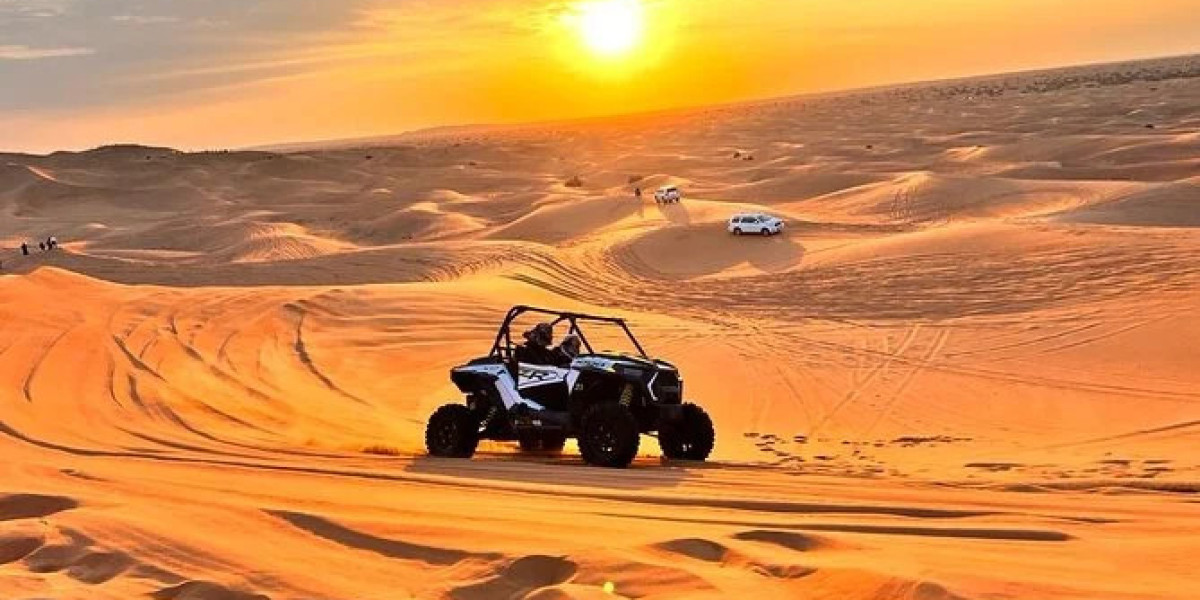 Why You’ll Love a Morning Desert Safari