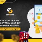 Sky Exchange Profile Picture