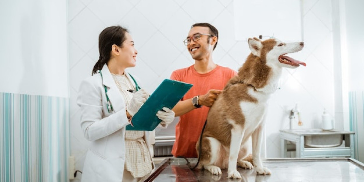 Veterinary Care in Qatar: Ensuring the Best Health for Your Pets