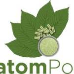 Kratom Point Profile Picture