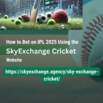 Sky Exchange Profile Picture