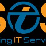 spring itservice Profile Picture