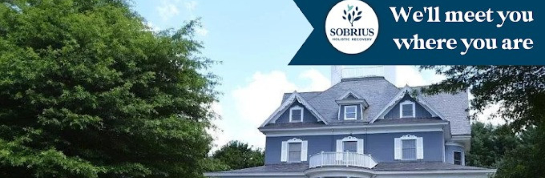 Sobrius Holistic Recovery Cover Image