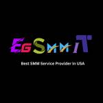 EGSMMIT COM Profile Picture
