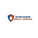 Water Damage Pros Nashville Profile Picture