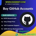 Buy GitHub Accounts Profile Picture