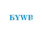 BYWB Bearing Profile Picture
