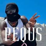 Pequs Pequs Profile Picture