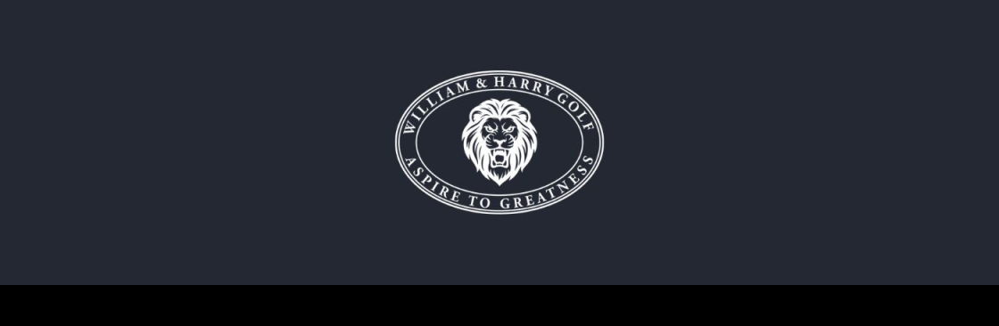 WILLIAM AND HARRY HOLDINGS INC Cover Image