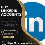 Buy Linkedin Accounts Profile Picture