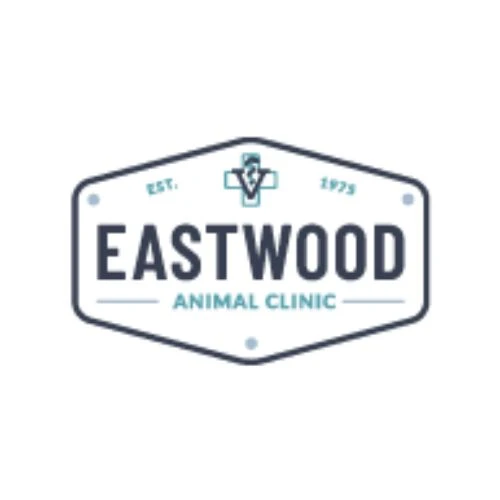 Everything You Need To Know About Declawing Cats -  WriteUpCafe