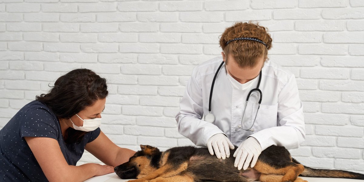 Obesity In Animals Treatment in Ontario