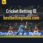 bestbetting inindia Profile Picture