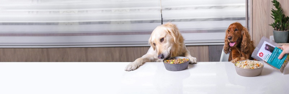 Paw Pots Dubai Cover Image