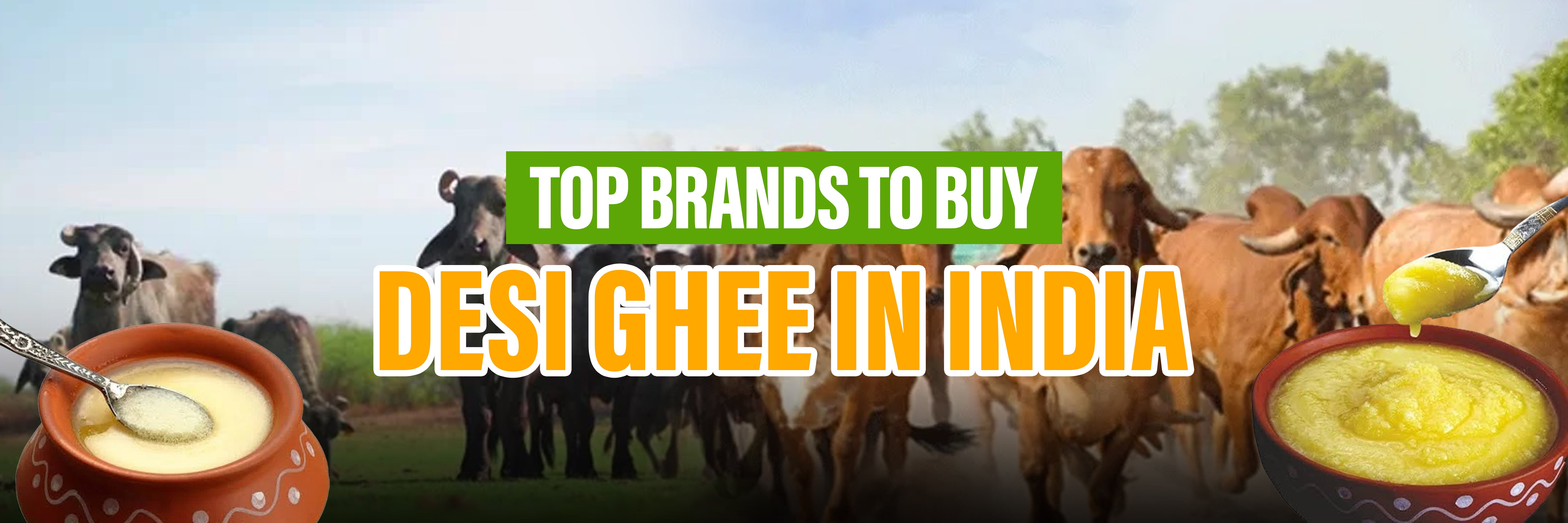 Top 11 Desi Ghee Brands in India for Purity & Taste.  – Nutroots