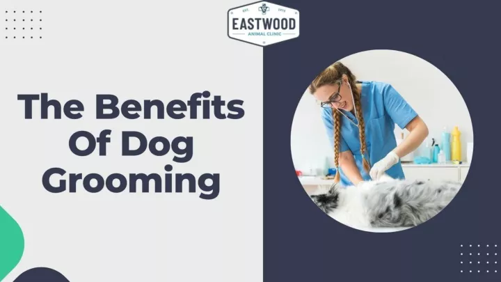 PPT - The Benefits Of Dog Grooming PowerPoint Presentation, free download - ID:11725147