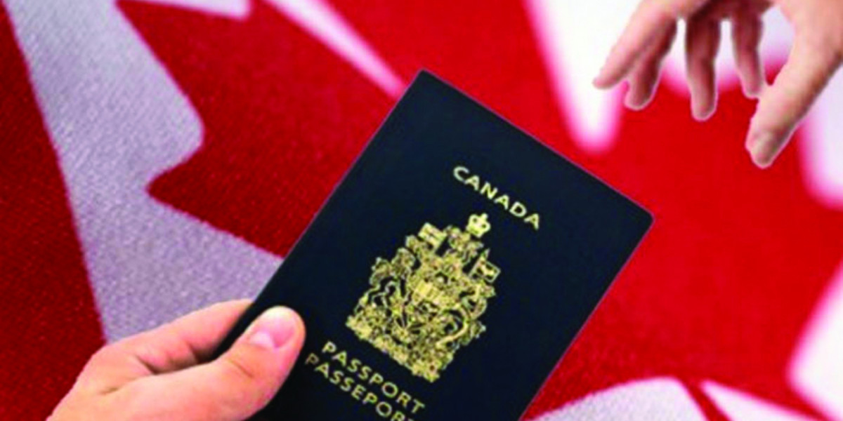 NILE Consultant Canada Visit Visa – Complete Guide for Pakistani Applicants