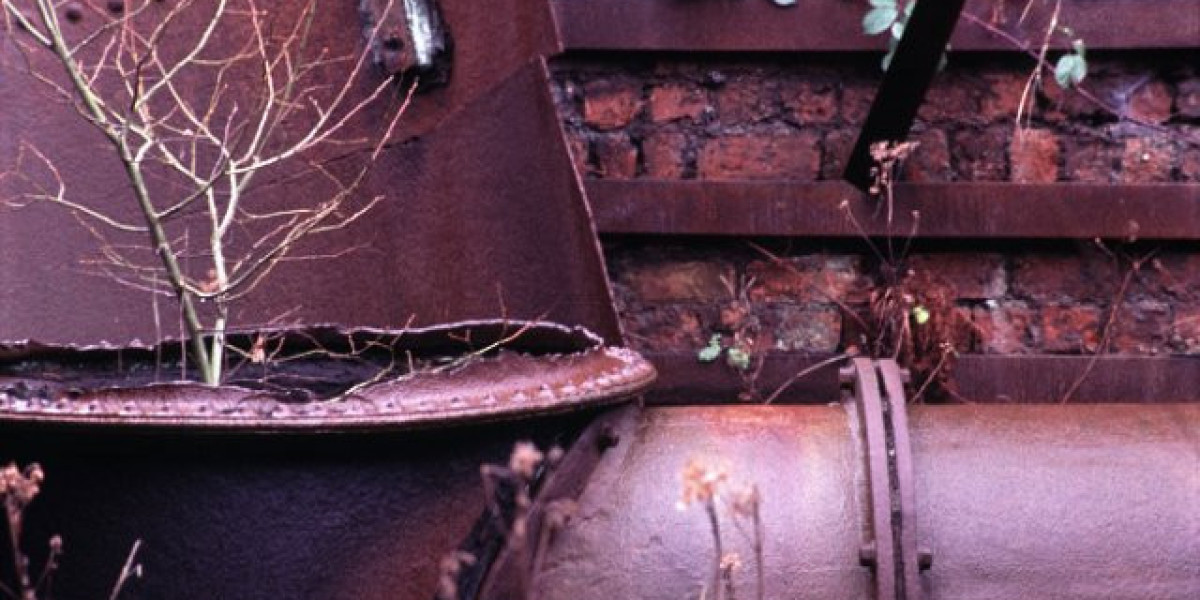 Top Slots and Exclusive Bonus Deals in Canada