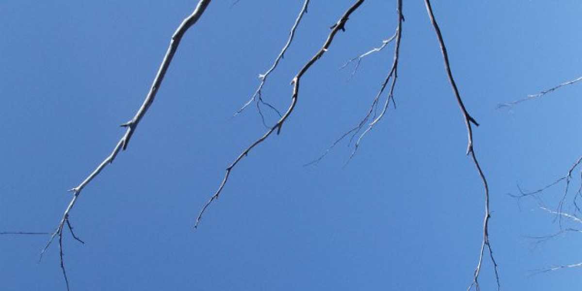 Secure Access to Online Pokies & Games