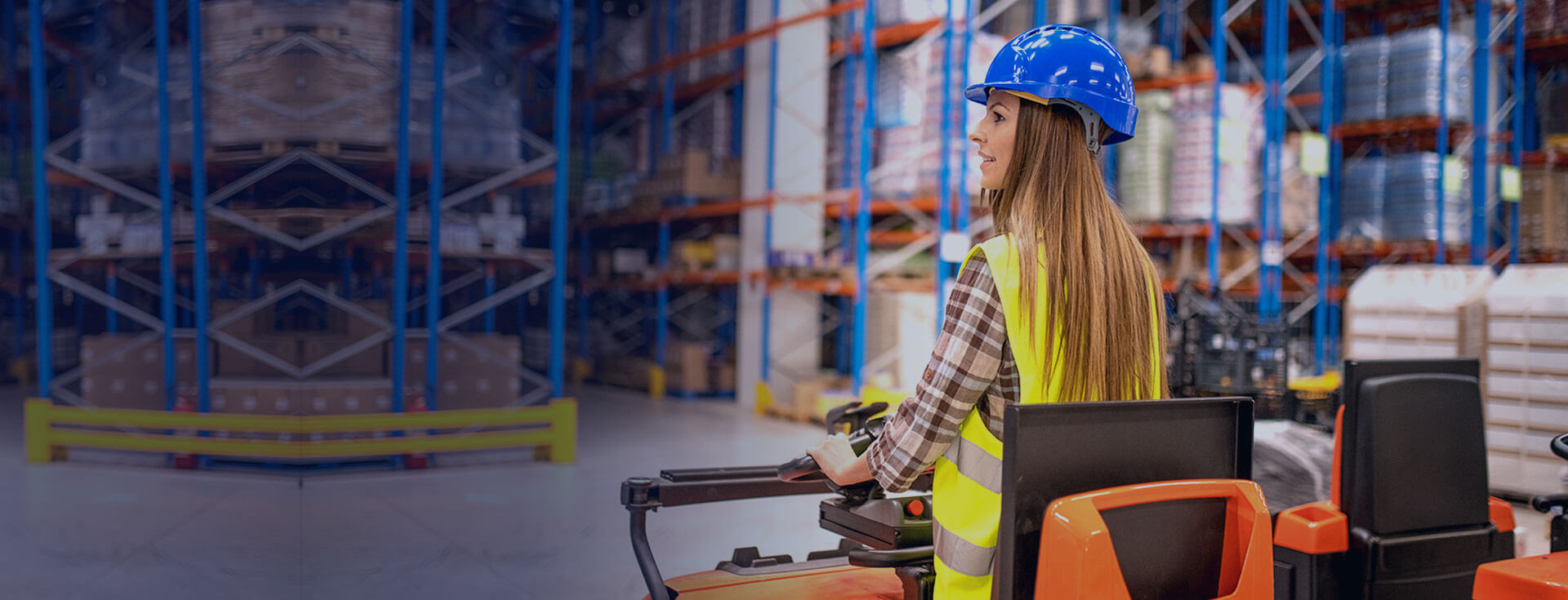 Door to Door Courier Service – Sonali Express Worldwide