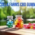 Tuikokla Profile Picture