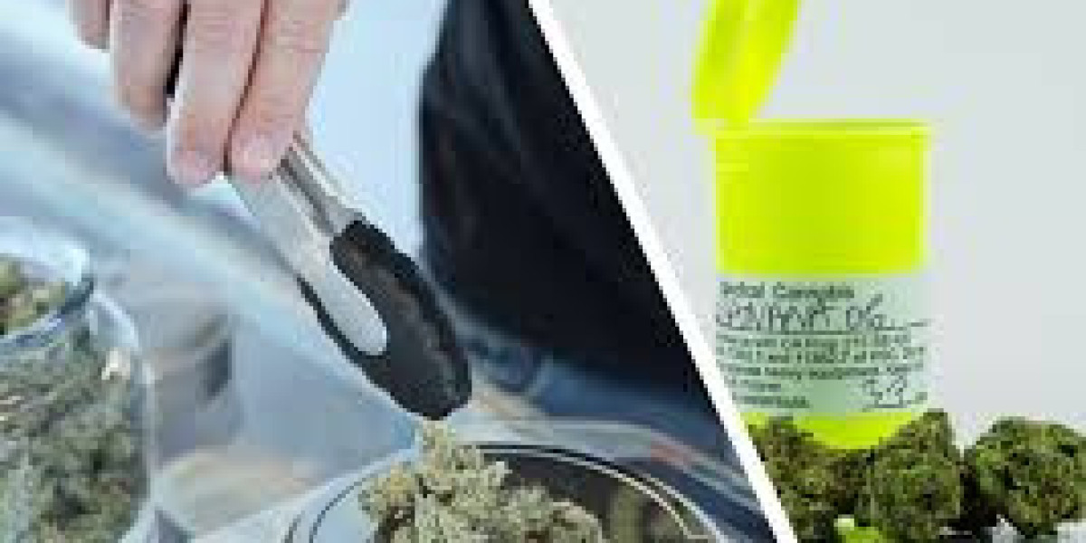 Best Places to Buy Bulk Weed Online