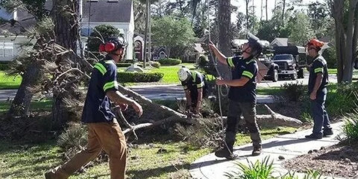 Urban Tree Care — Your Experts in Safe and Healthy Tree Services