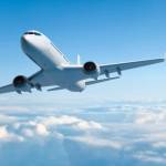 amelia mary Profile Picture