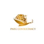 PNFG CONSULTANCY Profile Picture