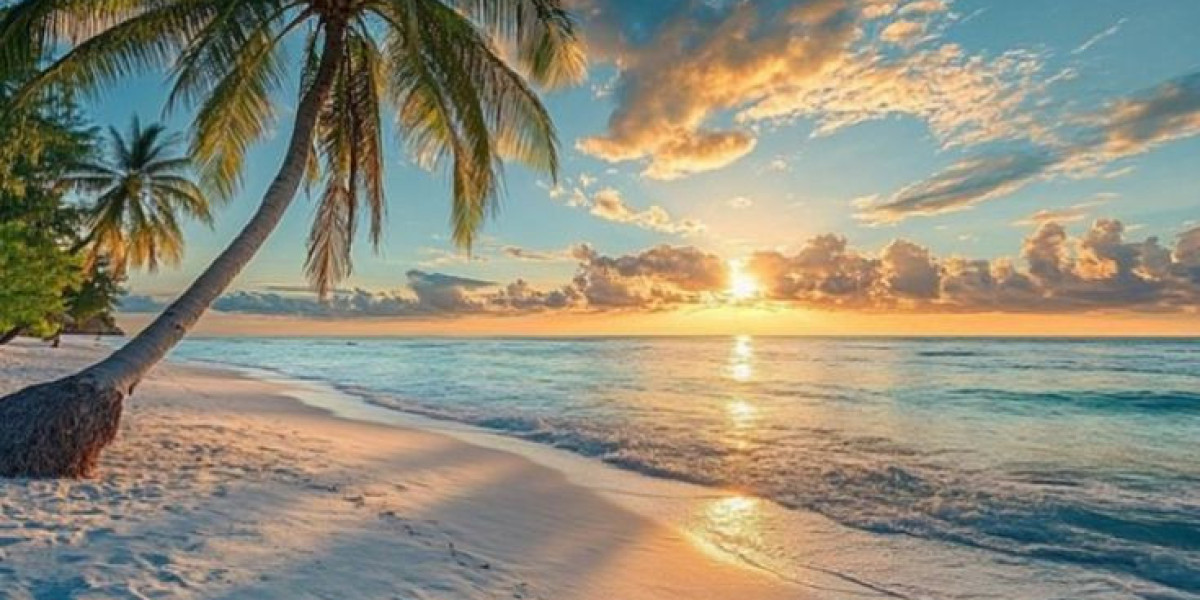 5 Proven Ways to Find Business Class for Cheap