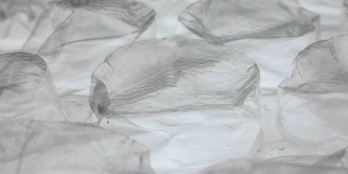 Sparking Joy and Thrills at the WS Casino Adventure