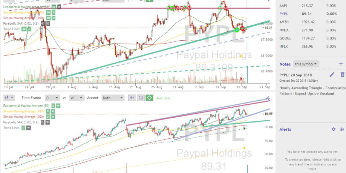 Maximizing Investment Opportunities with MyTopStock