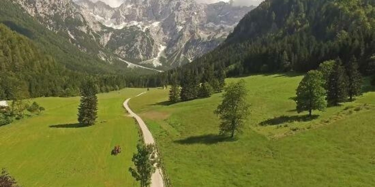 Five Teams That Lost World Cup Spots After Bright Starts