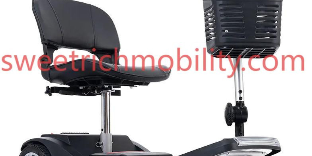 Flexible Mobility Options for Modern Routine