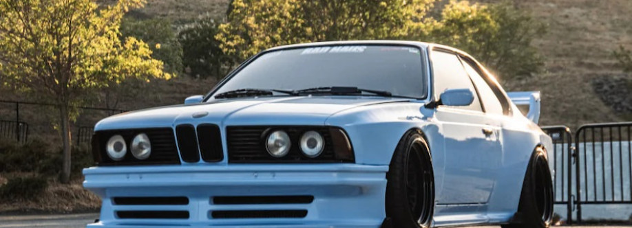 Raphael Turner Cover Image