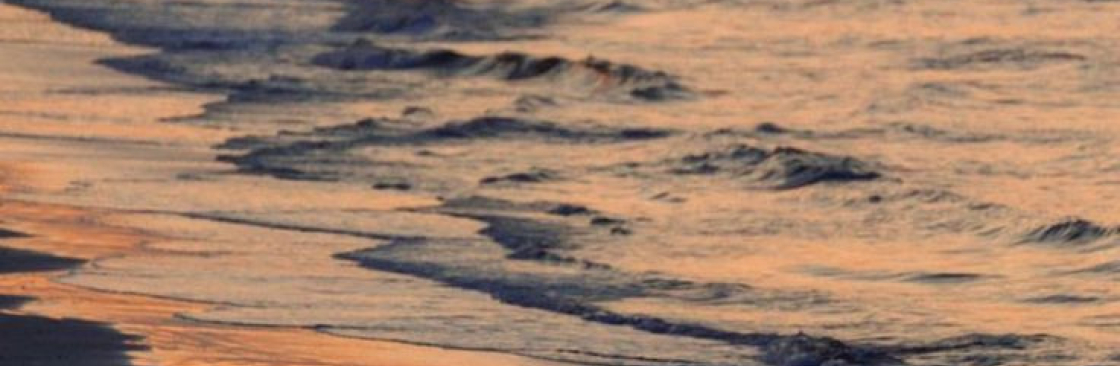 Henry Ellwood Cover Image