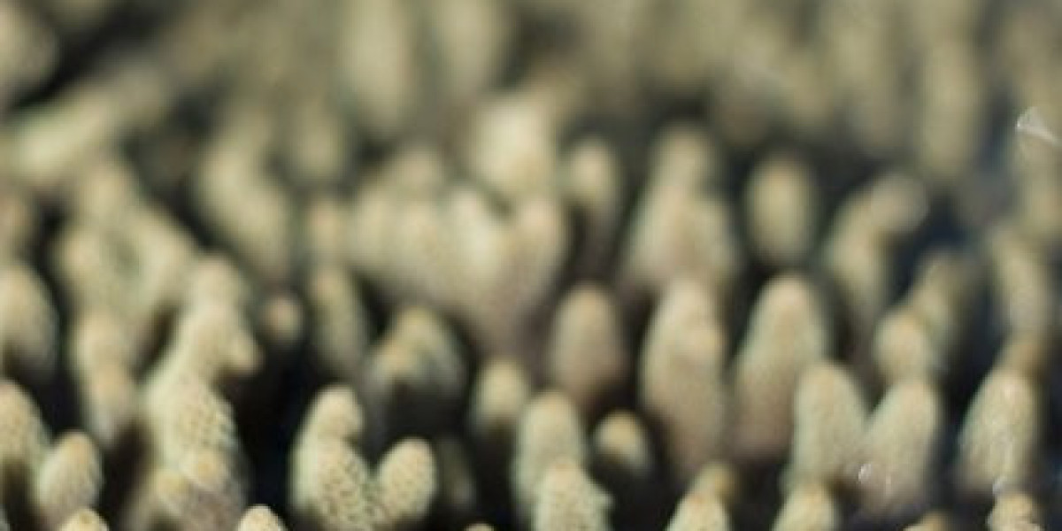 Get $1000s in Promotional Cash